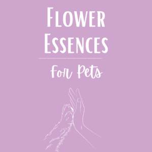 Flower Essences for Pets